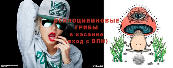 трава Магас