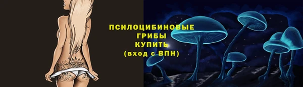 трава Магас