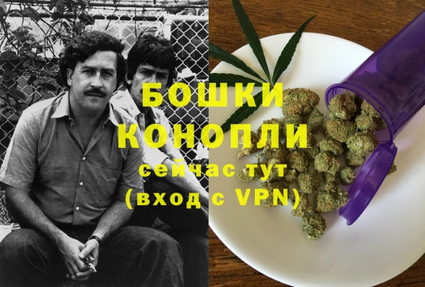 тгк Майский