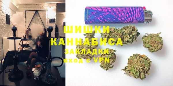 трава Магас
