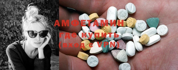 шишки Аша