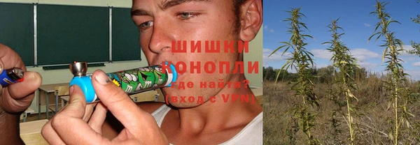 тгк Майский