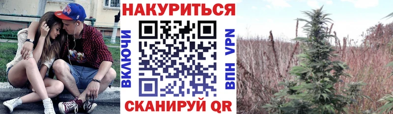 Конопля White Widow купить цена Чкаловск